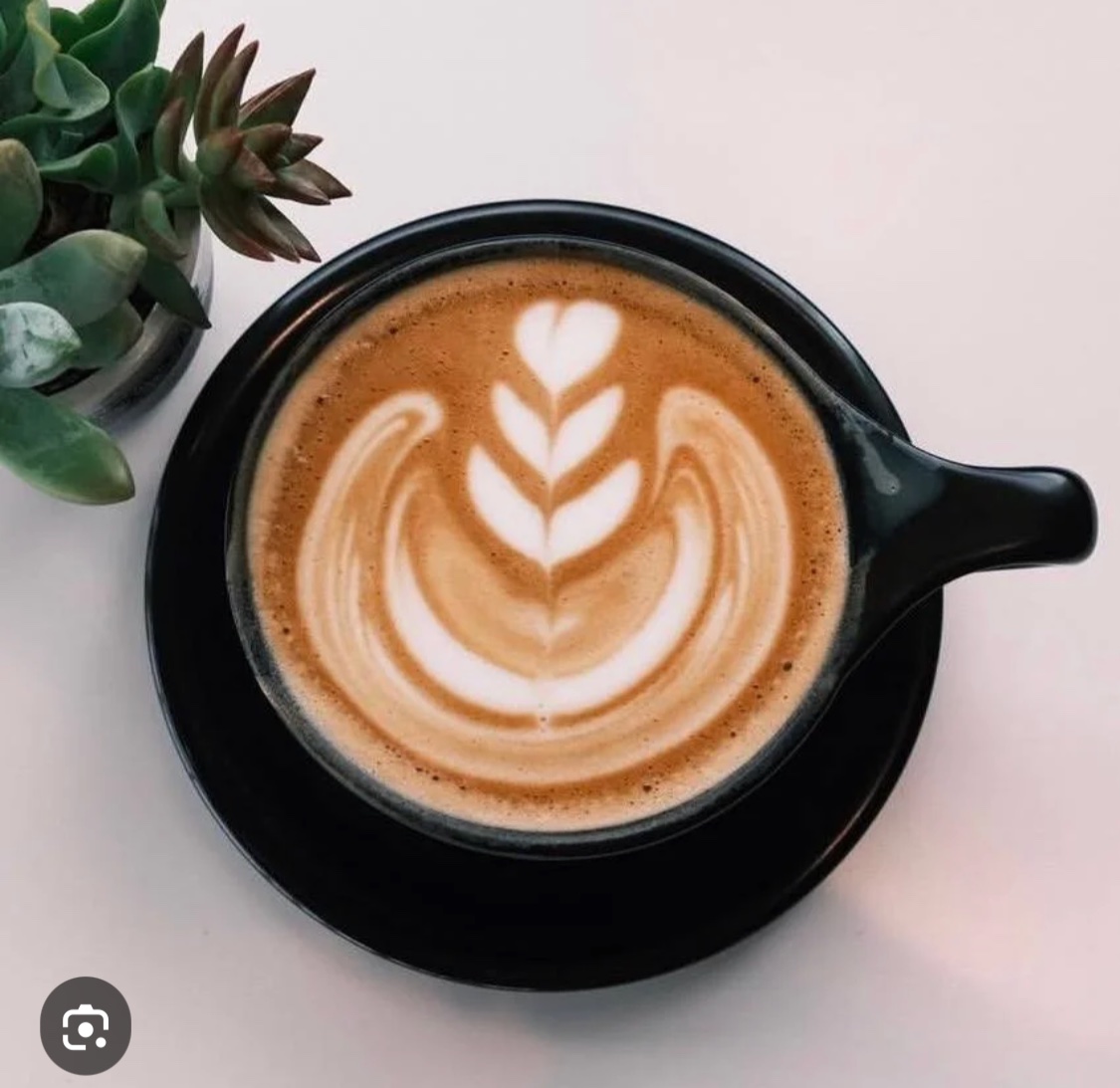Align Coffee Co.